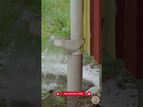 Regenwasser nutzen: So wird dein Garten zum Schwammgarten!