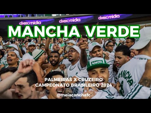 Meia Cancha FC / Mancha Verde. Palmeiras x Cruzeiro. Campeonato Brasileiro 2024.