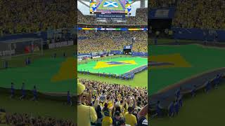 FIFA World Cup 2026 Stadium Atmosphere ⚽🏟️ Crowd Sounds & Match Day Vibes #shorts