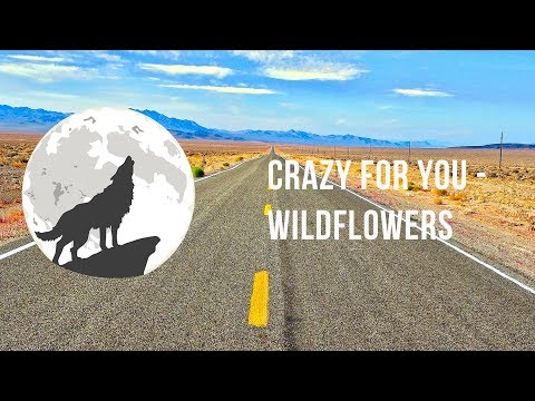 Crazy For You (Instrumental) - Wildflowers
