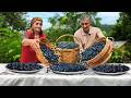Blueberry Harvesting And Making Country Sweets For Winter