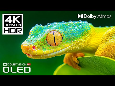 BEST OF Dolby Atmos - Incredible 4K 60FPS Video HDR - Dolby Vision