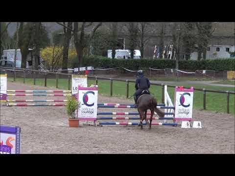 Flipper du Moulin (Hennebont le 12/03/2019)