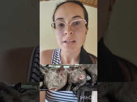 Hoy les quiero contar