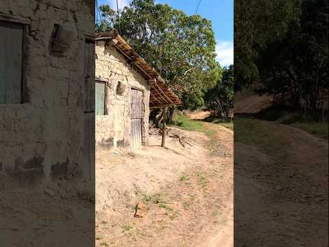 Sítio limão / Canhotinho / PE