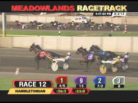 2013 Hambletonian Final - Royalty for Life & Brian Sears