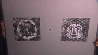 Baby Human – Face Recognition