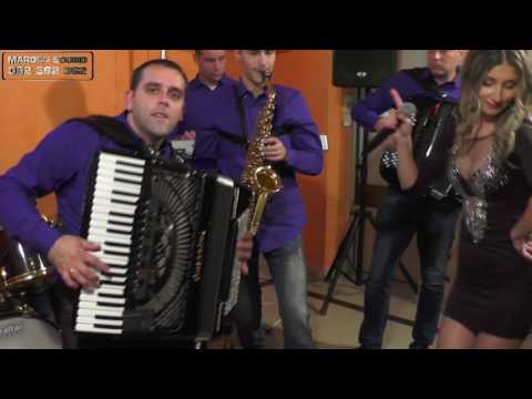 Orkestar Joce porodinca (Marijana Cvetkovic) - Splet Vlaskih pesama 2, Zeljoteka 2016