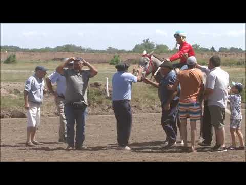 CASTELLI 27/11/22. CARRERA 5. GANADOR CENIZA. PROP: CACHO DE VIGO. DE RAUCH. JOCKEY: DIEGO SALDÍAS.