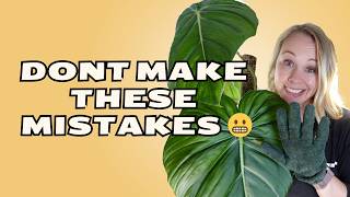 10 Indoor Plant Care Mistakes You're Making (and How To Fix them!)