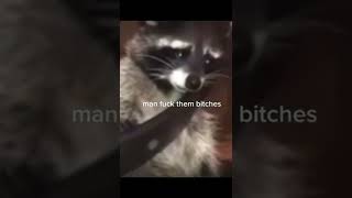Man fuck them bitches