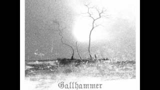Gallhammer - At The Onset Of The Age Of Despair