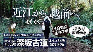 【山歩き】近江から越前へ「深坂古道」18切符途中下車ぶらり 紫式部が歩いた道をてくてく