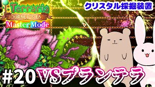 【Terraria】勘でクリスタル採掘場作るよ！！！ Master mode #20【Journey's End/ゆっくり実況】