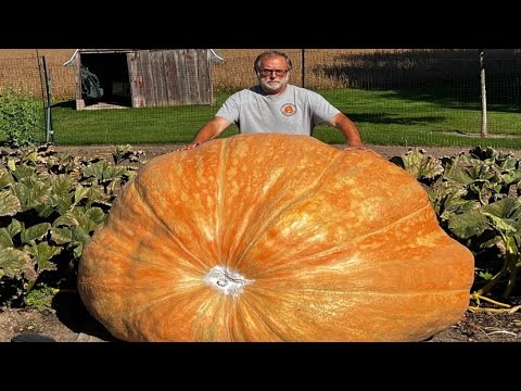 Giant Pumpkin 🎃 Grower Jim Ford