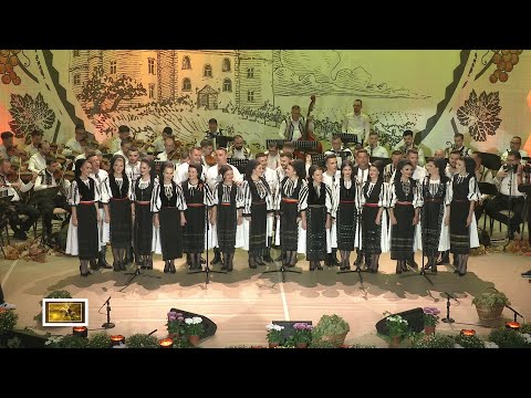 Ansamblul Folcloric Jidvei România la Festivalul Național de Folclor Stugurele de Aur 2024 (@TVR1)