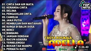Download lagu TASYA ROSMALA - CINTA DAN AIR MATA, DELIMA || OM ADELLA FULL ALBUM TERBARU 2025 mp3