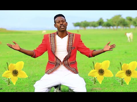 Tariku 80 Shele - Enkutataye (እንቁጣጣዬ) New Ethiopian Music 2015 (Official Video)