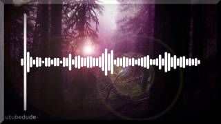 Black Lips - Veni Vidi Vici (Diplo Remix)