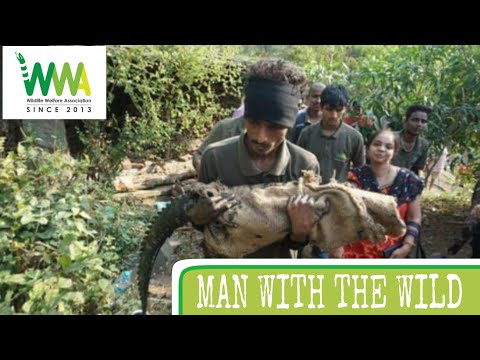 *Crocodile rescued from well* | MAN WITH THE WILD | 🐾WWA🐾