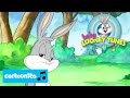 Baby Looney Tunes SONG Baby Bunny Song Cartoonito