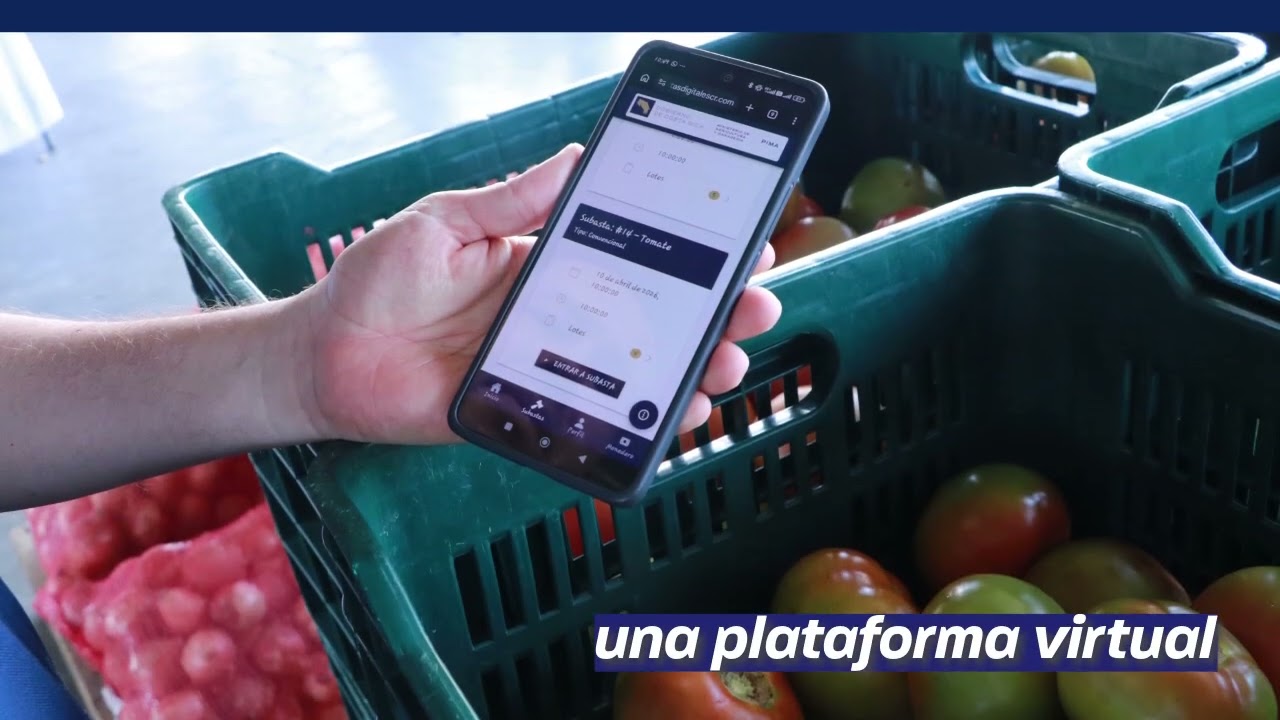 Nuevo AgroEnlace: CENADA Digital: nueva era en el mercado agropecuario mayorista de Costa Rica