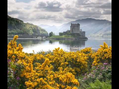 Celtic Cross - Darshannon