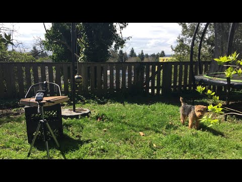 Social Distancing Project 004: Manfred Werder, 2005(1)