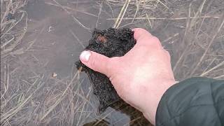 Богатое открытие сезона древними артефактами, серебром и монетами