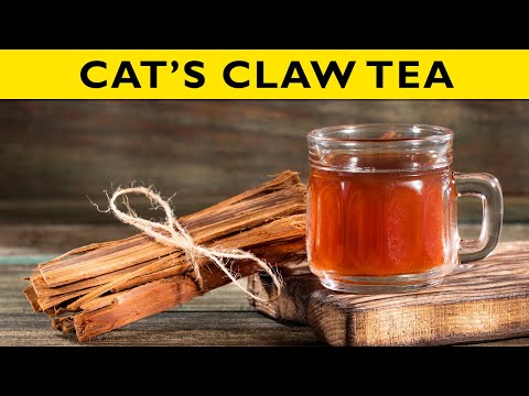 Cat's Claw Tea: The Tea Every Woman Should Know