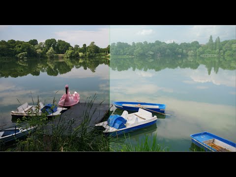 Darktable Episode 78: Texture softening for a softer look