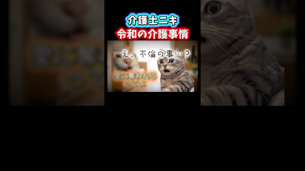 【衝撃】不倫発覚?! #shorts #介護 #介護士 #猫ミーム #鳥ミーム
