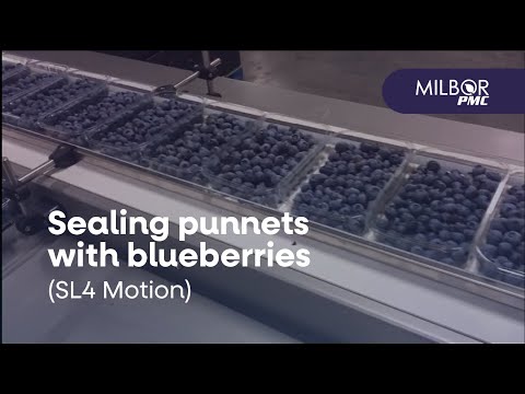 SL4Motion sealing punnets with blueberries | Milbor PMC