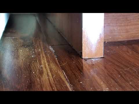 Assisted Living Ants in Montgomery, NJ