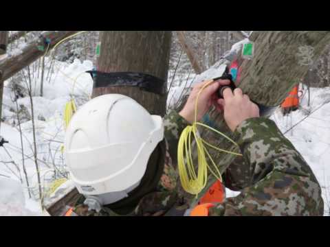 Ruotuväki – Kainuun prikaati räjäytti lähes 60-vuotisen hyppyrimäen