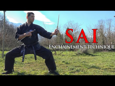 ENCHAINEMENT TECHNIQUE AUX SAI