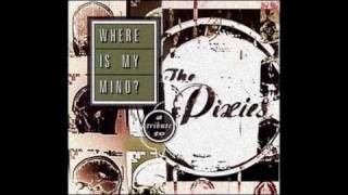Nada Surf - Where Is My Mind ?