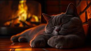 Cozy Fireplace Ambience & Calming Cat Purring 🐱 | Sleep, Relax, Study | Relaxing ASMR (No Ads) 😴