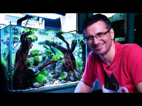 The MOST DIFFICULT Aquascaping Style - Making An Indonesian-style Planted Tank | PT. 2