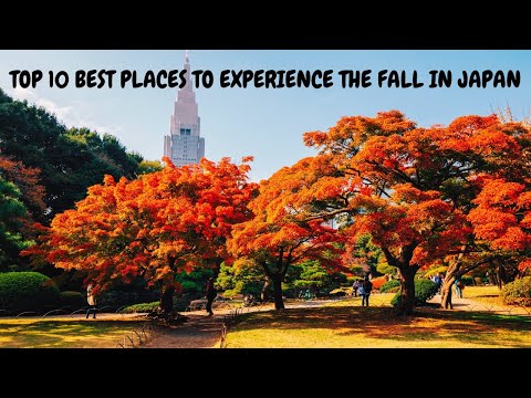 10 Best Places To Experience Autumn In Japan 2024 | Autumn Color Spots in Japan