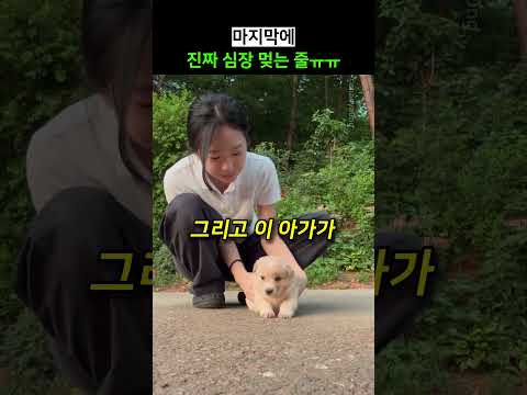 마지막에 진짜 심장 멎는 줄ㅠㅠ