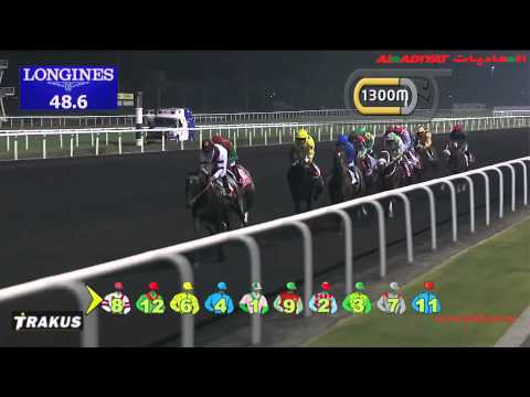 Animal Kingdom (USA) - 2013 Dubai World Cup winner