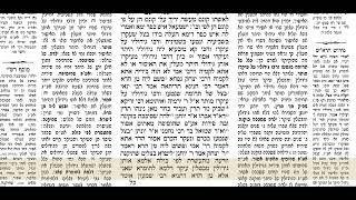נדרים דף נח