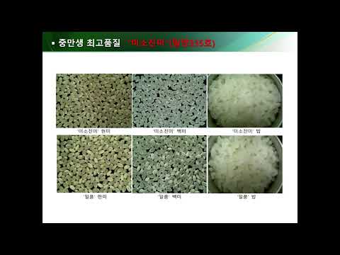2024 고품질 쌀 재배기술 강의