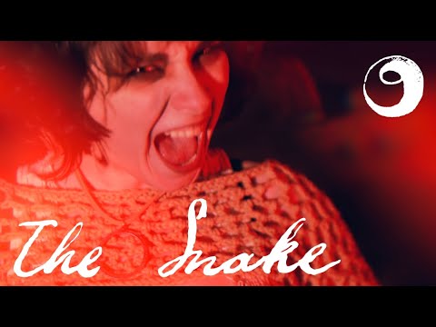 Ok Goodnight - "The Snake" Music Video