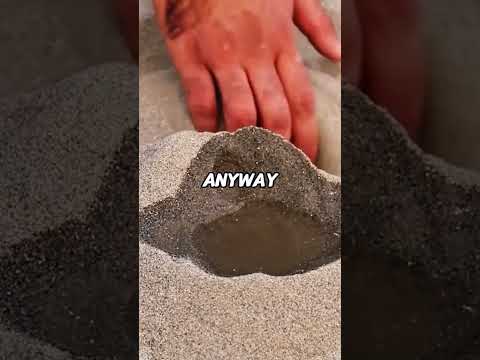 Er hat alles verkauft