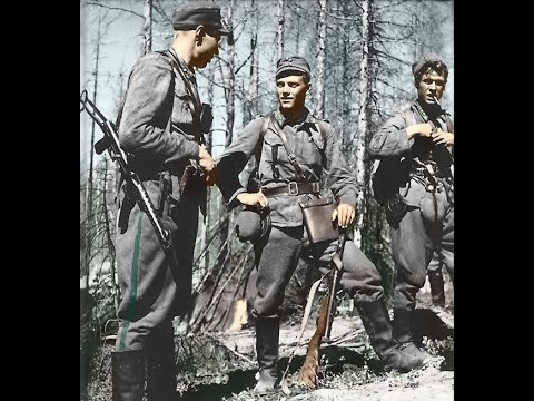 Mannerheim ristin ritari Lauri A.  Törni