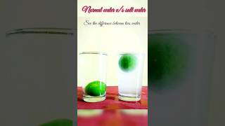 salt water &amp; normal water #experiment | see the difference between salt water &amp; normal water #shorts