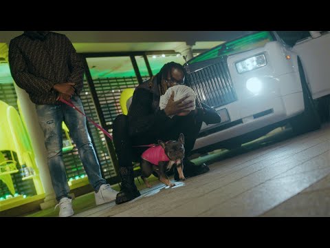 Cavalli Don - Visa 2 Visit (Official Video)