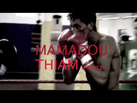 Wildenhof Trailer 2.4